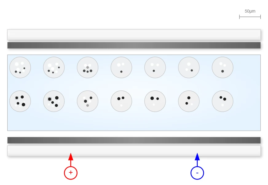 Electrophoretic Display Technology Electrophoretic Display Technology